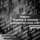 6hr CE - Property and Casualty Insurance - Commercial Lines